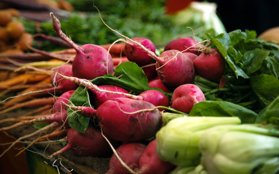 Report: Michigan Food Environment Scan
