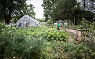 $14 million+ in new grants to enhance behavioral health, food access, built environments