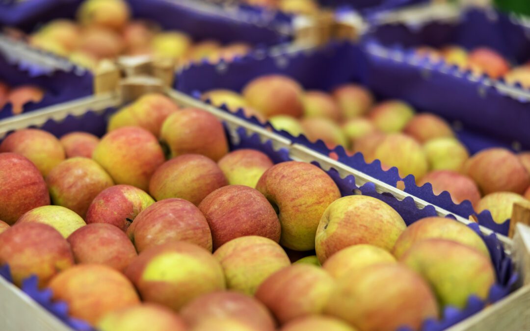 $14 million+ in New Grants Bolster Supports for Behavioral Health, Food Access, and More