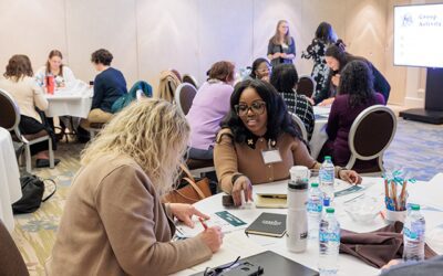 Feedback and Resources Help Capacity Building Applicants Strengthen Submissions, Seek Alternatives